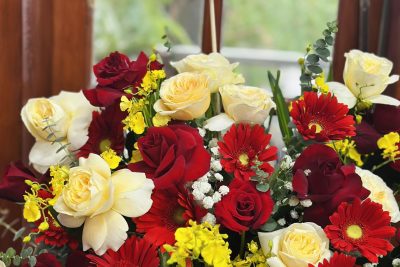 ❤️🌸❤️𝑳𝒐̛̀𝒊 𝒄𝒂̉𝒎 𝒐̛𝒏 𝒏𝒈𝒂̀𝒚 20/11❤️🌸❤️